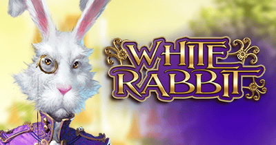 White Rabbit at Pinco Casino